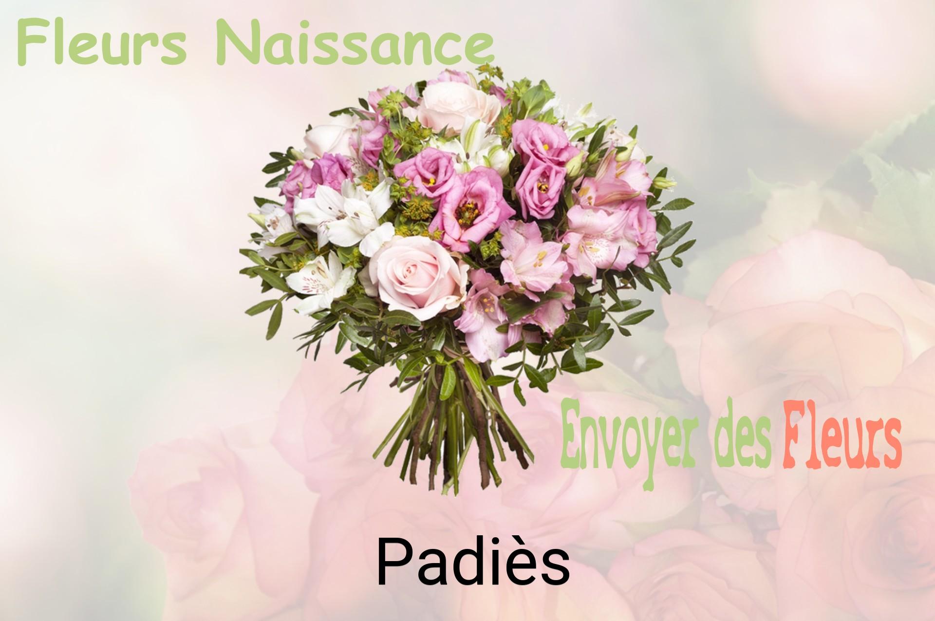 Bouquet de fleurs de naissance livré à Padiès