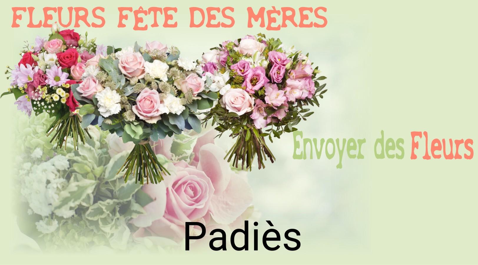 Bouquet de Fête des Mères livré à Padiès